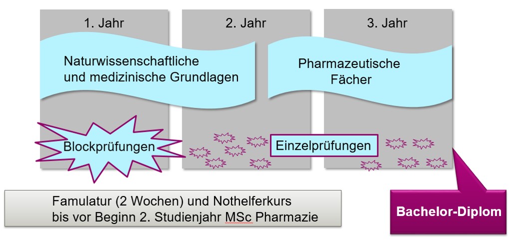 Grafik zum BSc in Pharmazeutischen Wissenschaften