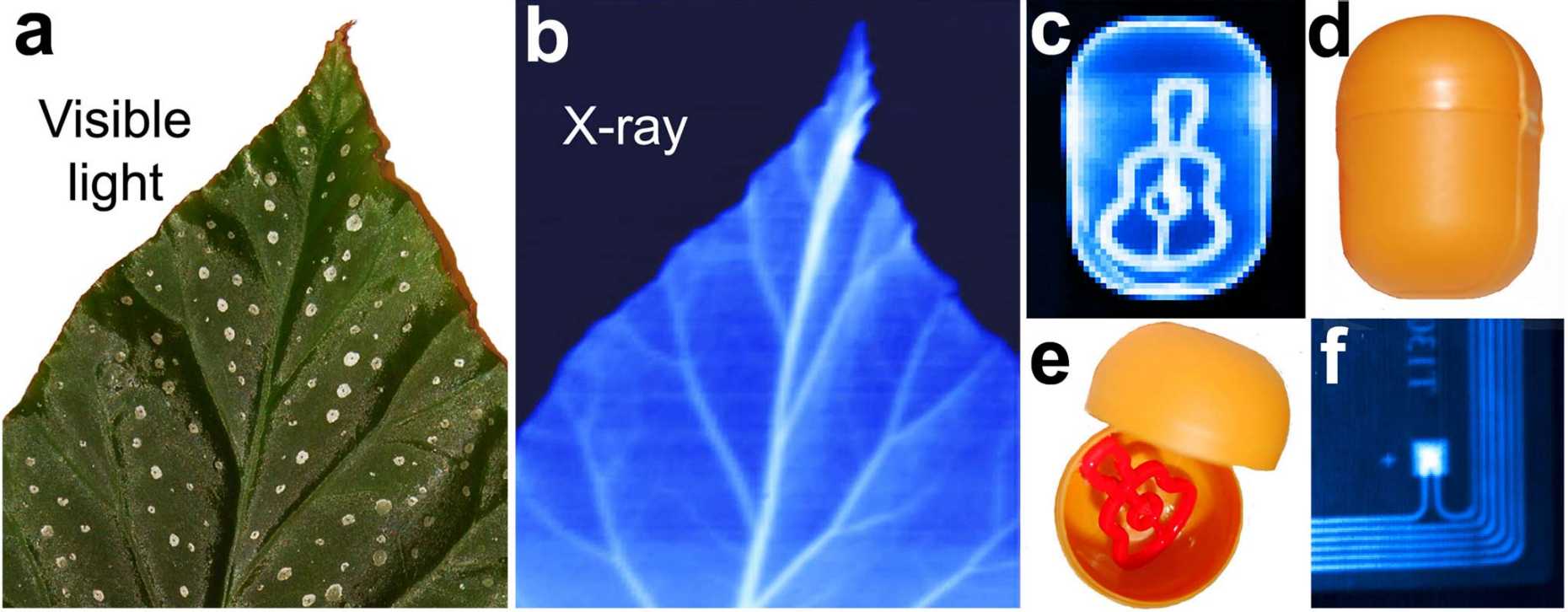 Enlarged view: Well-resolved X-ray images of various objects. A leaf of Begonia obliqua (d), and X-ray image thereof (e); a small guitar hidden in a Kinder Surprise egg (f-h); and an electronic key card (i) unveiling the near field antenna and microchip inside.