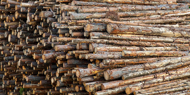 Chemicals from wood waste