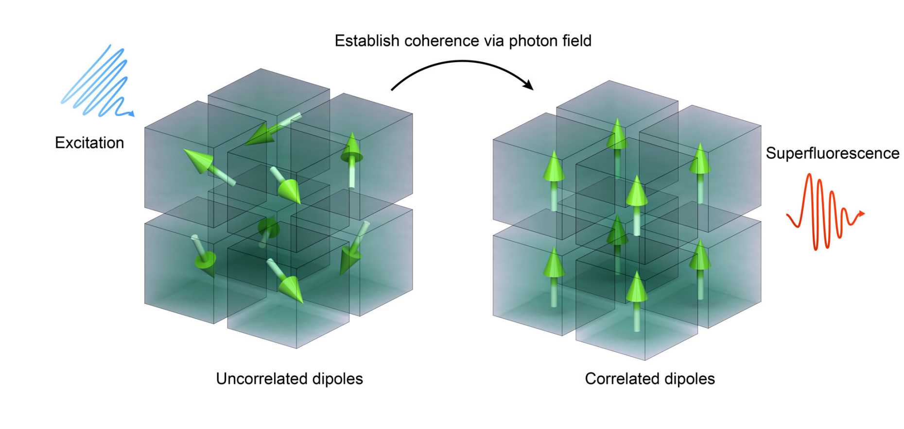Superfluorescence: Excited dipoles