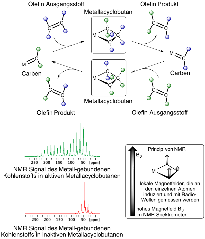 Vergrösserte Ansicht: Katalytischer Zyklus der Olefinmetathese Reaktion